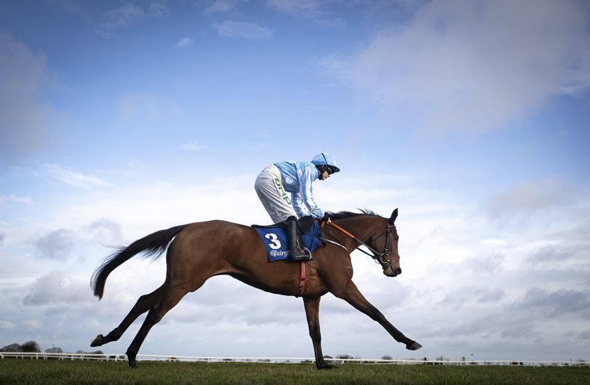 Honeysuckle bids for record fourth Bar One Racing Hatton’s Grace Hurdle at Fairyhouse on Sunday
