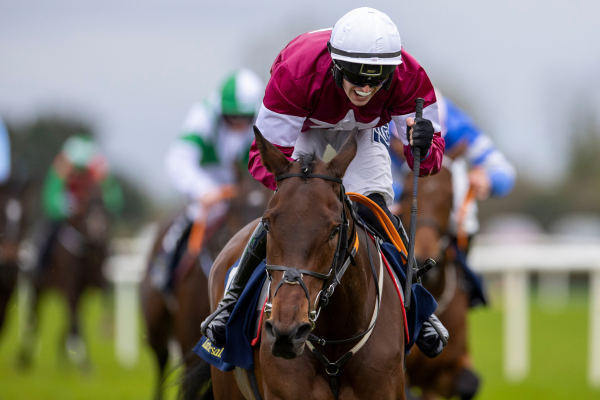 Fairyhouse meeting Wednesday February 4 rescheduled  to Monday February 16