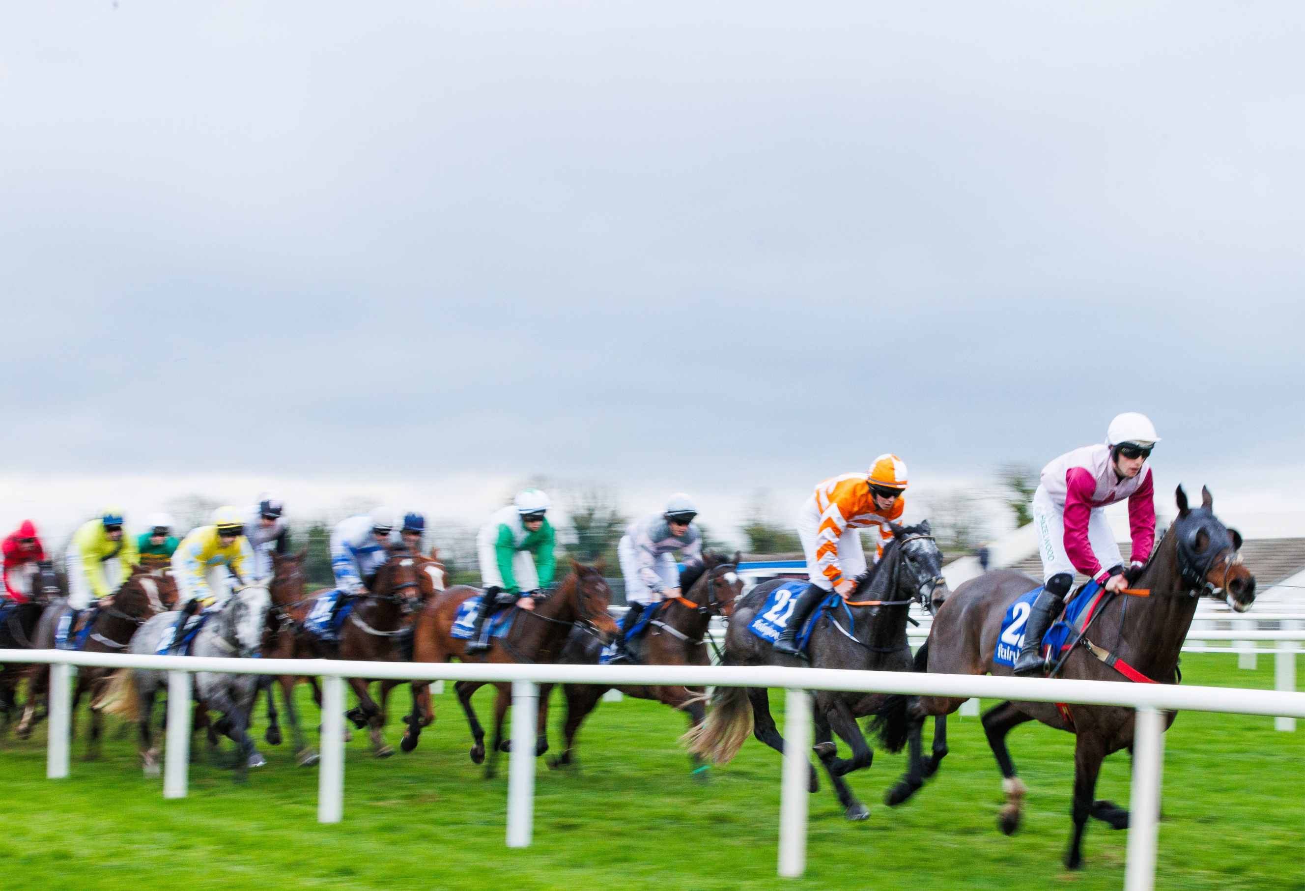 horsesrunningatfairyhouseracecourse