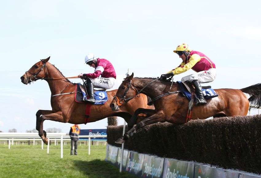 Two horses jumping at Fairyhouse racecourse