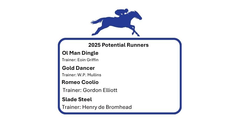 Bar One Racing Drinmore Novice Chase Potential Runners