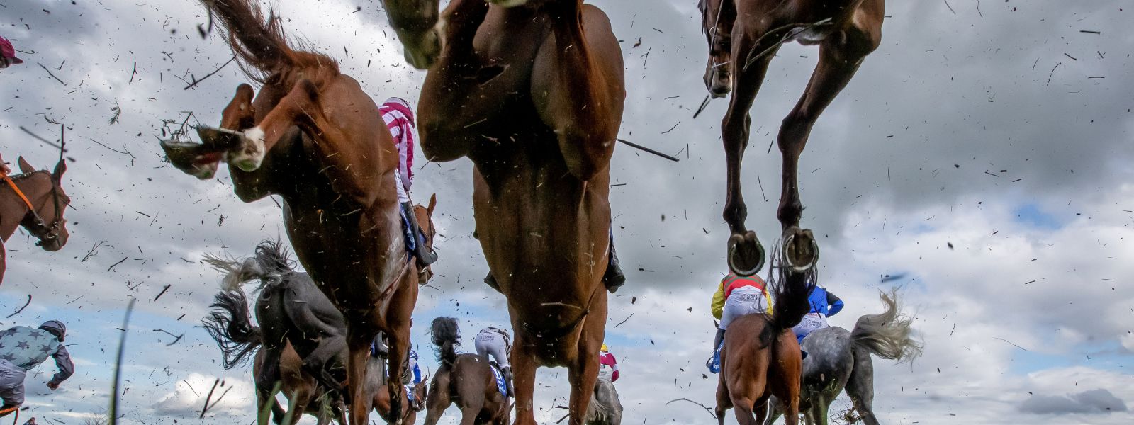 11th October 2025 - Return of the Jumps