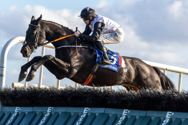 28th November 2026 - Winter Festival Day 1