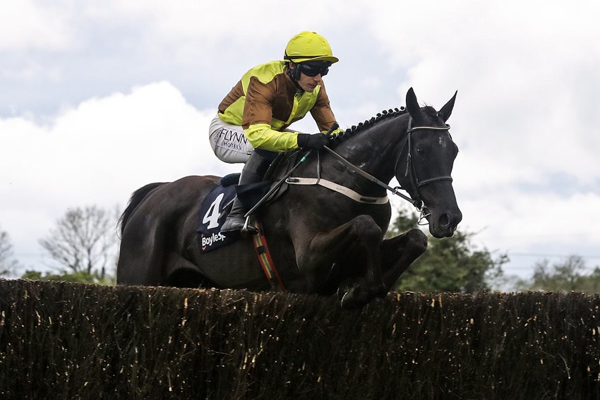 WillowWarm to Sponsor Grade 1 Fairyhouse Gold Cup on Day 2 of Easter Festival 