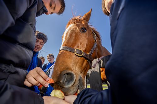 250 primary school children go behind the scenes at HRI Racing Juniors education day at Fairyhouse Racecourse ahead of Easter Festival   Easter Saturday, April 19 to Easter Monday, April 21