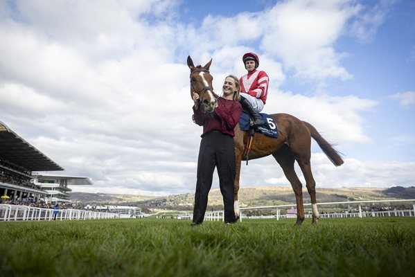 Cheltenham Festival winners Jango Baie and Lecky Watson are among an entry of 22 horses for the two and a half-mile WillowWarm Gold Cup