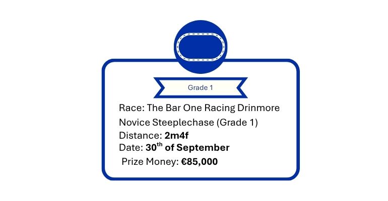 Bar One Racing Drinmore Novice Chase Description
