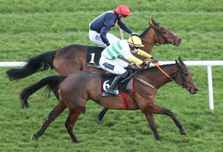 Novibet kicks off Irish Jumps season with Fairyhouse sponsorship