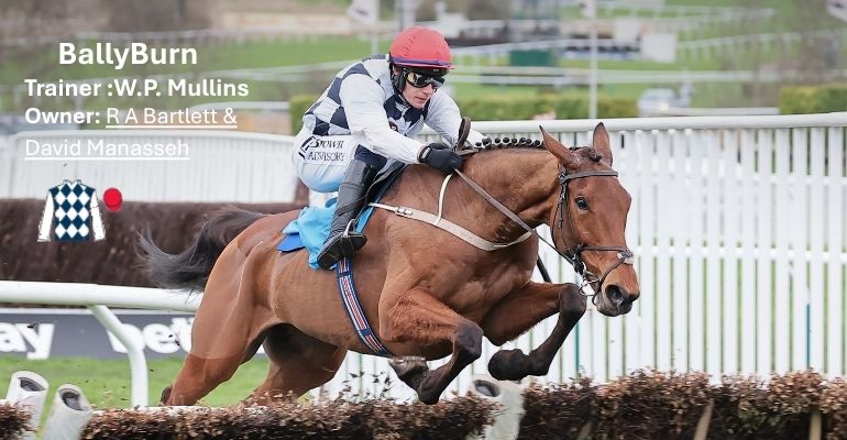 Ballyburn Hattons Grace contender