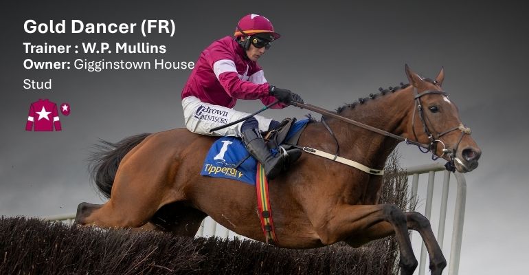 Gold Dancer Drinmore Contender