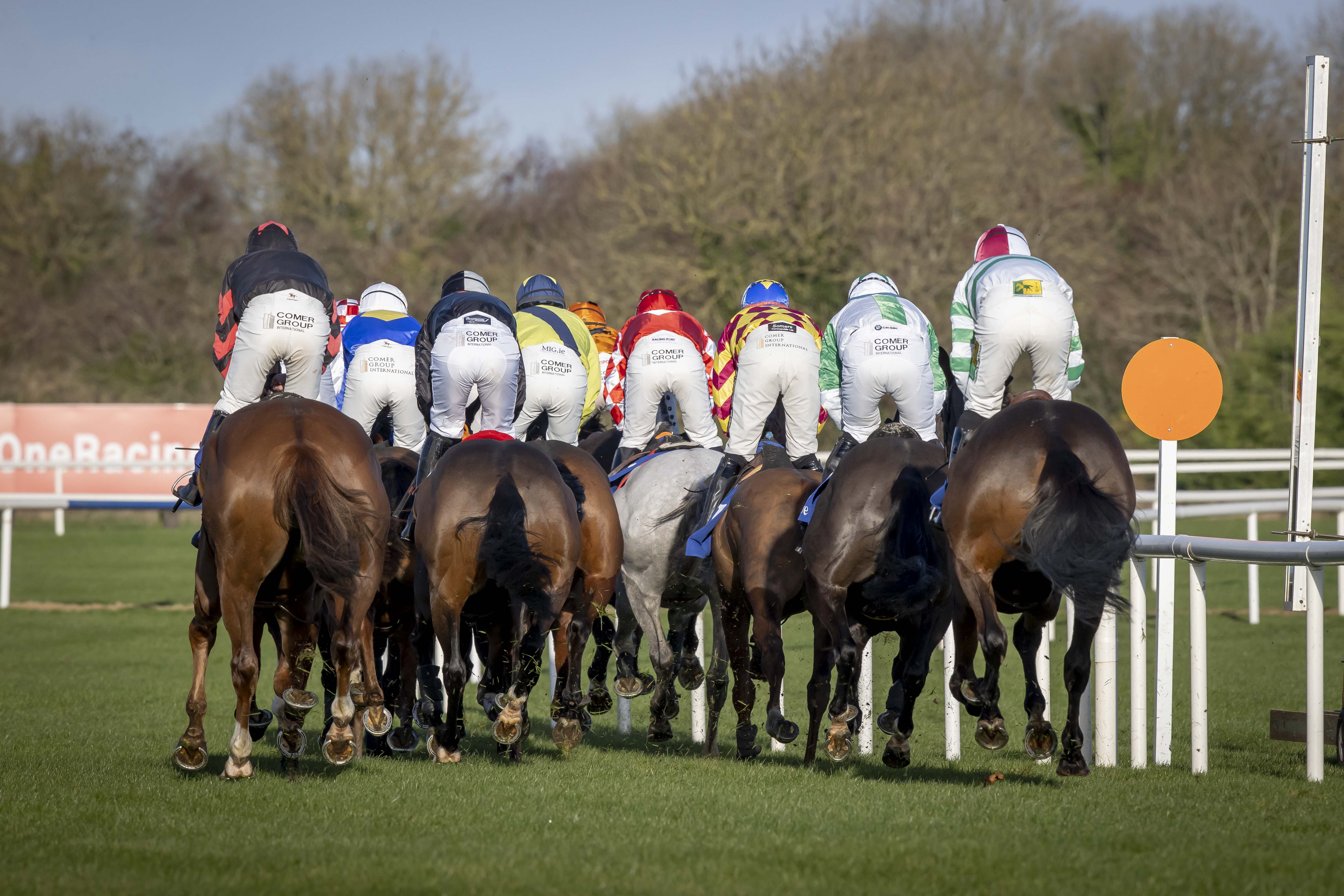 10th November 2026 - National Hunt Racing