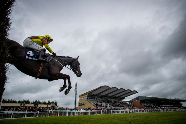 Paddy Kehoe Novice Hurdle 