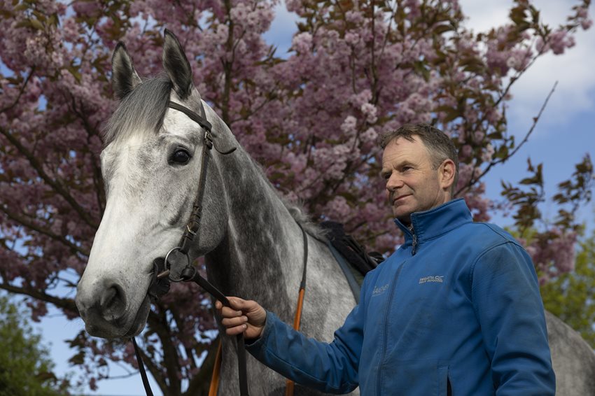 Tom Gibney has won Ireland's richest jumps race more times than Gordon Elliott. 