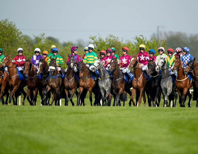 24th January 2026 - Solerina Mares Hurdle