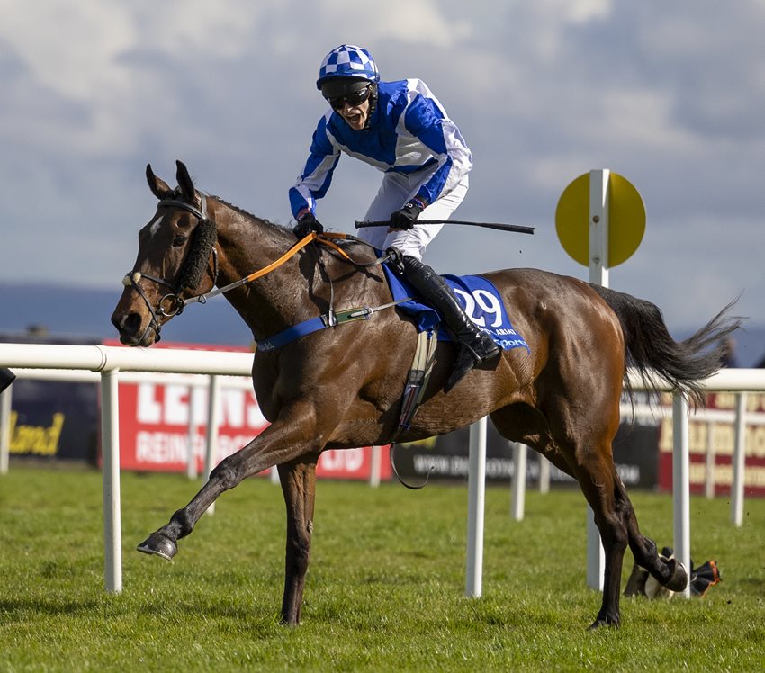 Lord Lariat out to make BoyleSports Irish Grand National history at Fairyhouse on Monday