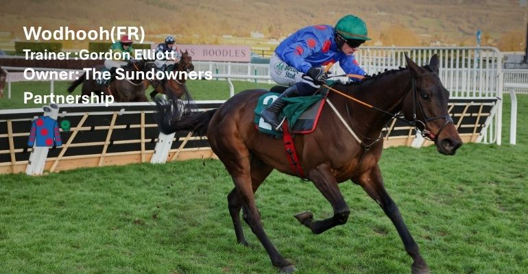 Wodhooh Hattons Grace Contender