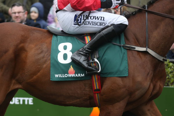 WillowWarm Gold Cup 